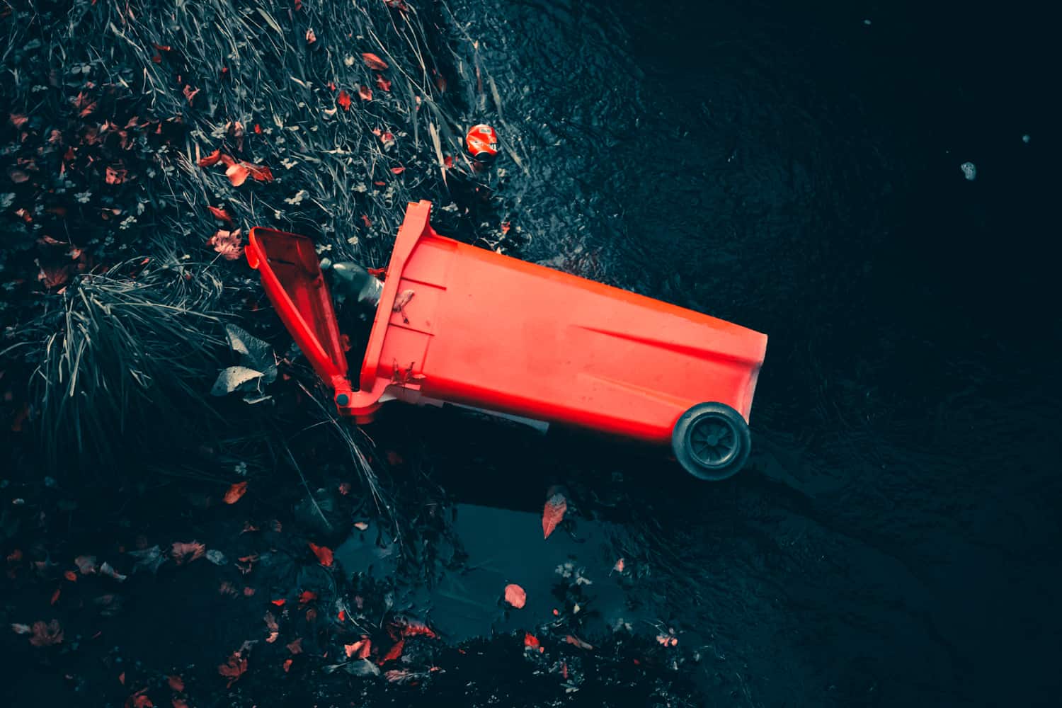Bin