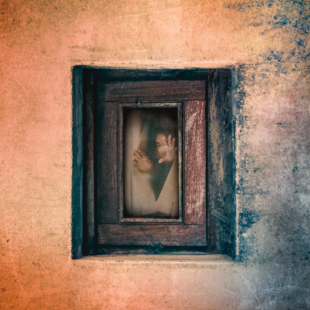 Window Women - Tommie Kelly