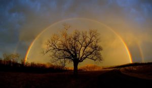 Shamanic Journey