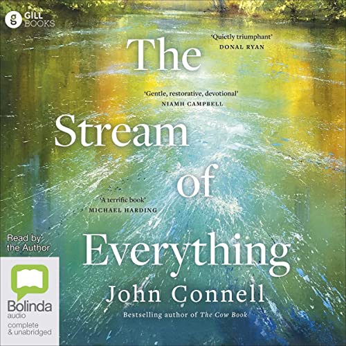 The Stream of Everything