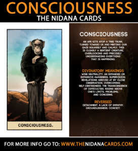 Consciousness - The Nidana Cards